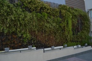 paredvegetalregencyway (800x533)